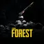 The Forest